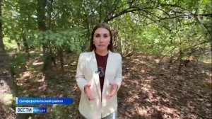 ВЕСТИ КРЫМ: выпуск 26.07.2025 14:30