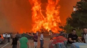 На западе Турции вспыхнул лесной пожар