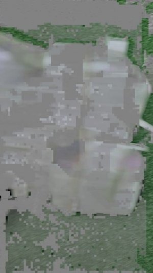 8033390
