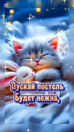 Спокойной ночи
