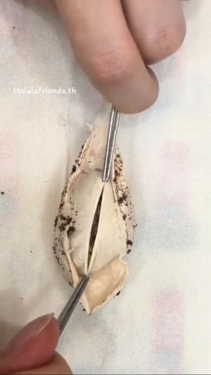 Распаковка пауков ❤️ #shorts