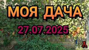 МОЯ ДАЧА на 27.07.2025