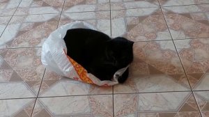 На улице жара но надо отметиться в кульке.
