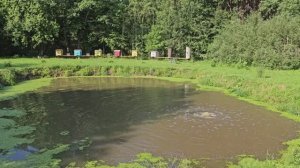 Жизнь в Полесье: семья, труд и деревенские будни без прикрас!