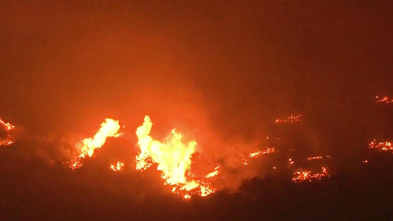 В Турции 2000 жителей Бурсы эвакуированы из-за лесного пожара