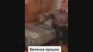 Смех до слёз