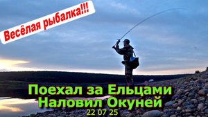 Поехал за ельцами наловил окуней 22 07 25