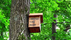 Дикая Северная Осетия. Дендрарий Владикавказа и его обитатели