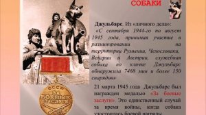 Джульбарс - собака на Красной Площади