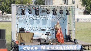 День села с. Мамонтово Мамонтовского района 2025
