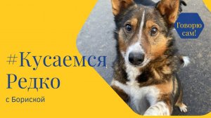 Бориска