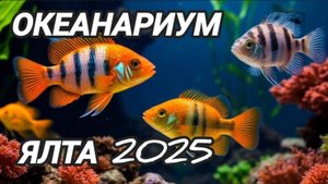 Океанариум | Ялта | Крым 2025