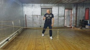 Нанесение ударов в движении перешагом, левым, правым боком.