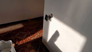 Инфракрасное потолочное отопление Часть 3. Пожар-пожар! Кошмар-Кошмар! Чудеса при эксплуатации!