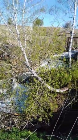 Сельский водопад. Гусельниково.