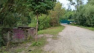 Кайф на озере
