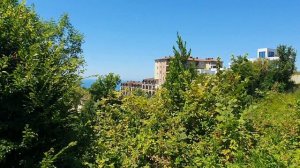 Участок в Сочи с отличным видом на море и город. 5,5 сотки