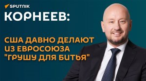 Корнеев: США давно делают из Евросоюза "грушу для битья"
