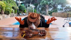 СМЕШНОЕ ВИДЕО ПЁС КУШАЕТ ЛОБСТЕРА 🦞 РУКАМИ! Собака снимает свой влог про еду СМОТРИМ ВСЕ ХОХОТАЧ