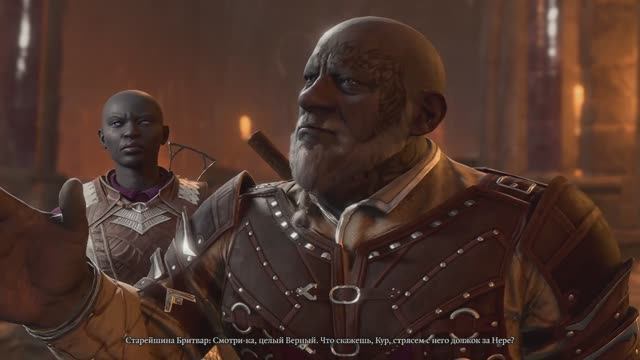 Baldurs gate 3 #18 (Борзота подземная)