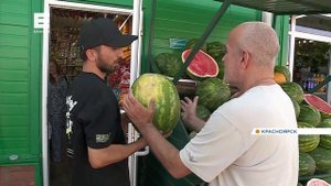 Нектарины арбузы и дыни: изучили ассортимент красноярских фруктовых прилавков