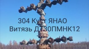Витязь ДТ30ПМНК 12