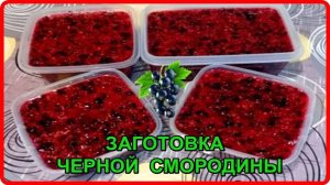 ЗАГОТОВКА ЧЕРНОЙ СМОРОДИНЫ НА ЗИМУ без варки