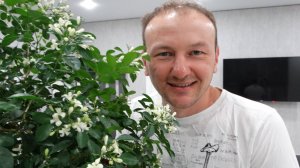Обзор моей муррайи, которой больше 10 лет