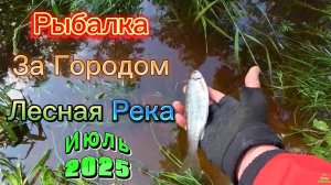 РЫБАЛКА В ЛЮБУЮ ПОГОДУ- В ШТОРМ -А ДАЛЬШЕ ВСЁ ПО ПЛАНУ РЫБКА МЕНЯ ЖДАЛА КЛЁВ ПЛОТВЫ ЕЛЬЦА ОКУНЯ ЛЕЩА
