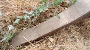 Чизель (глубокорыхлитель) Maschio Gaspardo Artiglio 400/9  экспресс-обзор от Константина Сорокина