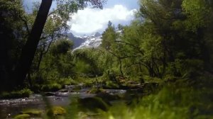 ☘️Музыка Природы! В этой нежной мелодии есть всё, чтобы просто расслабиться, думая лишь о Покое🌹