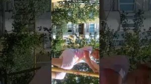 Мы снова гуляем