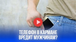 Телефон в кармане не убьёт мужское здоровье: профессор разоблачает мифы о 5G