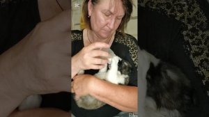 Из соски намного удобнее кормить