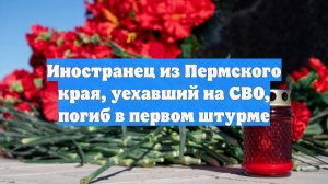 Иностранец из Пермского края, уехавший на СВО, погиб в первом штурме