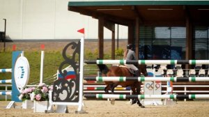 ЭКВИРОС: Национальный форум развития конной индустрии 2025