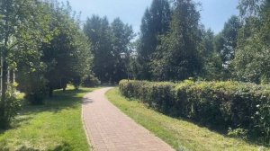 Летняя Прогулка по Парку, Укутанному в Тёплую Пелену Солнца