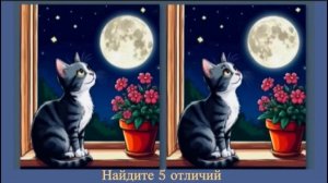 Тест на проверку внимания: найдите 5 отличий