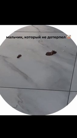 Первый день на работе : кто-то обделался в зале