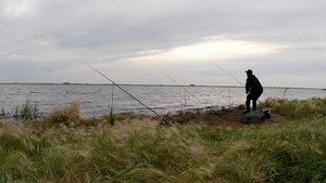 Приехал на озеро и ПОНЕСЛОСЬ!!! Ловля сазана и карася.