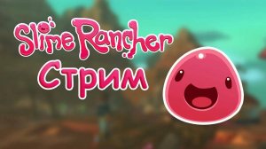 играю в slime rancher
