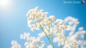 ♥️Нежная мелодия для спокойствия нервной системы и исцеления души 🌿музыка, исцеляющая сердце🌹
