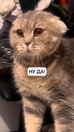 подпишитесь канала 👆👆👆👆😁😁😁😁