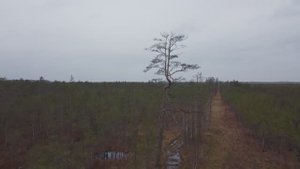 Дмитрий Витов | ТОЧКА.РФ – ЛЮДИ | г. Санкт-Петербург