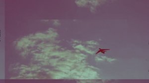 Хроники города Н смотри в небо  Alice Merton - Roots