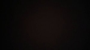 йоу мы шпицы лучше друзья