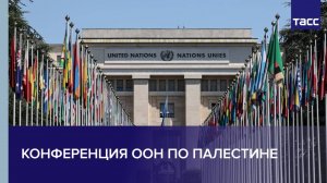 Конференция ООН по Палестине