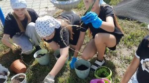 Моя команда в действии 💪