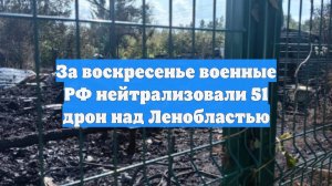 За воскресенье военные РФ нейтрализовали 51 дрон над Ленобластью