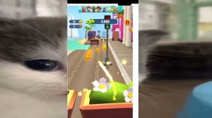 том за золотом! (говорящий том за золотом)